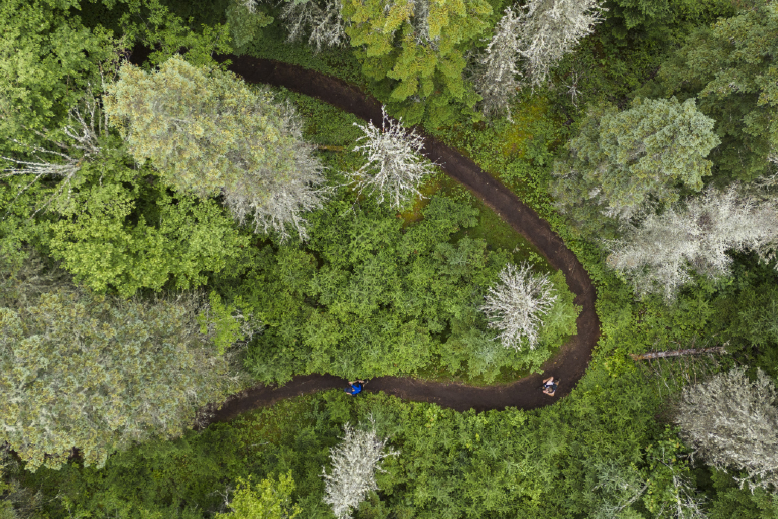 Québec Mega Trail: the Beast of the East