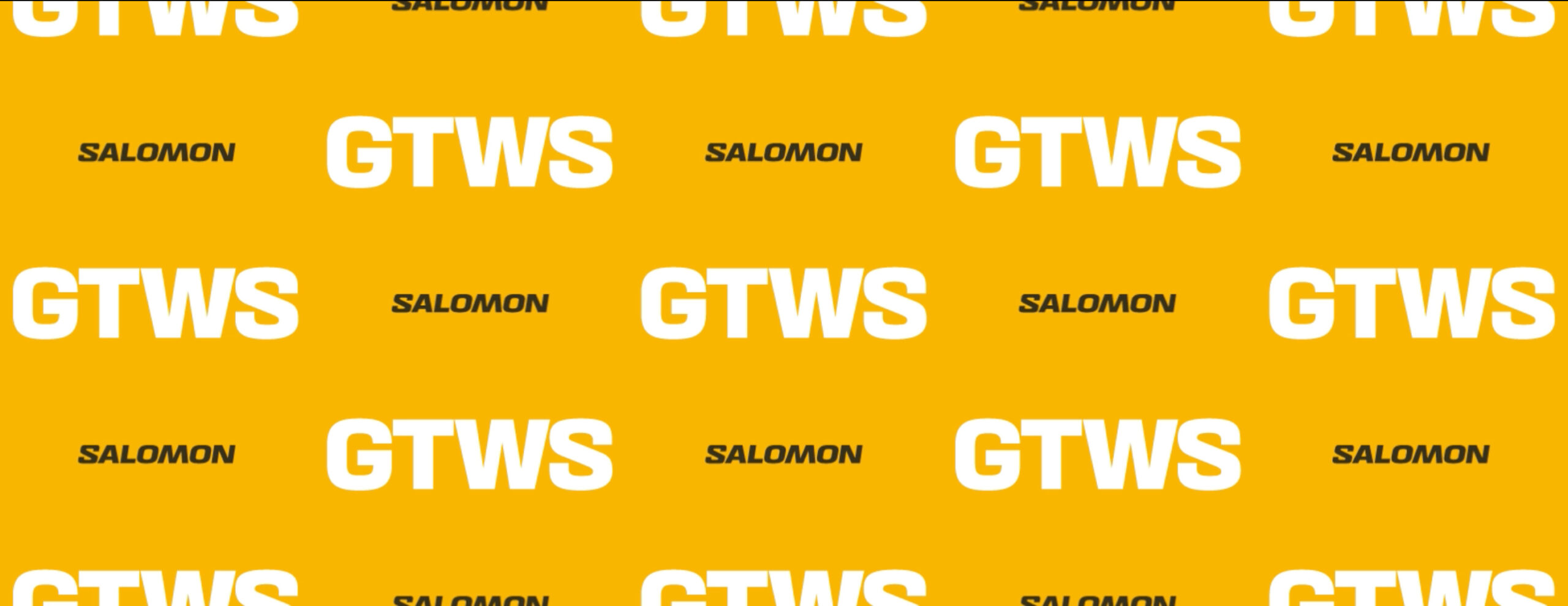GTWS unveils a new visual identity and CSR program 